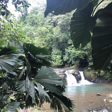 Watervallen Costa Rica